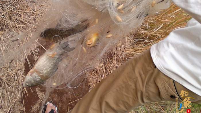 野钓弥勒江边（南盘江）。。哎日气