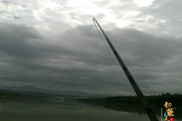 新年第一钓，得大“礼” 作者：想飞的鱼