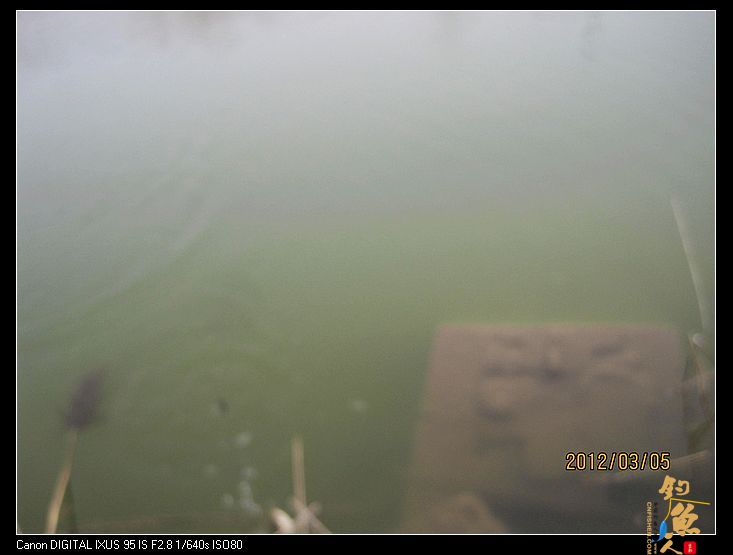 [阳春三月]早春钓鲫(三) 一地鲫毛