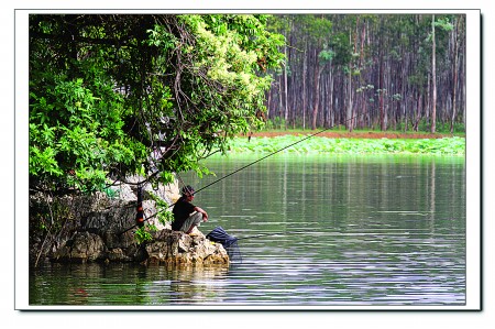 春到垂钓黄金时