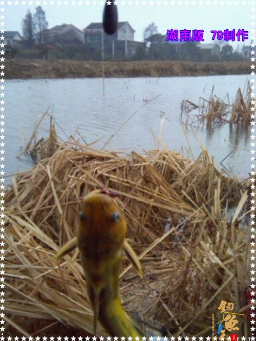 传统毒品 兄弟慎入【2】作者：zhuyishu79