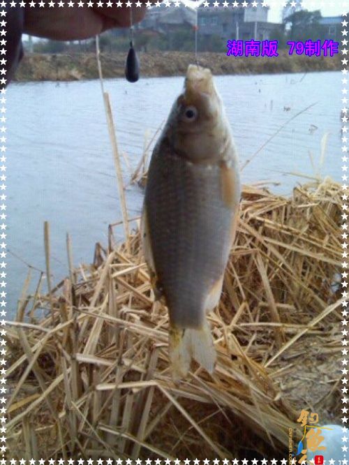 传统毒品 兄弟慎入【2】作者：zhuyishu79