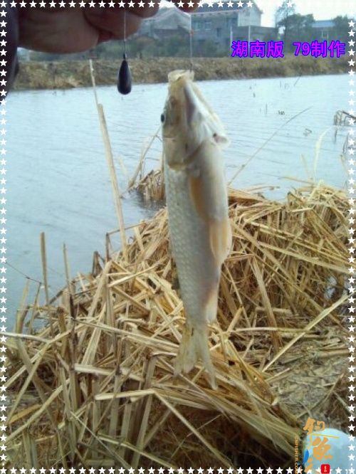 传统毒品 兄弟慎入【2】作者：zhuyishu79