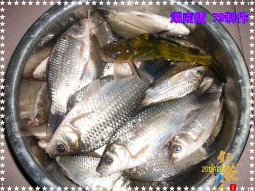 传统毒品 兄弟慎入【2】作者：zhuyishu79