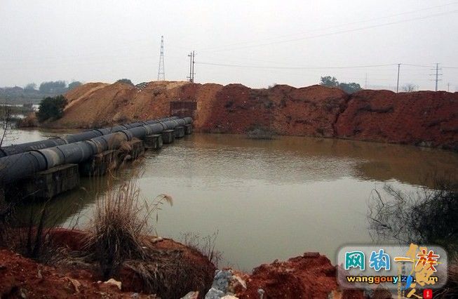 3月7日湘江作案未遂又发现新钓点,可惜作案工具不对