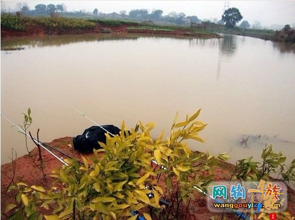 3月7日湘江作案未遂又发现新钓点,可惜作案工具不对