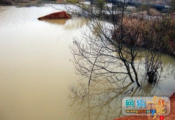 3月7日湘江作案未遂又发现新钓点,可惜作案工具不对