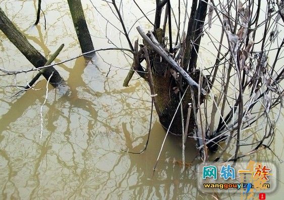 3月7日湘江作案未遂又发现新钓点,可惜作案工具不对