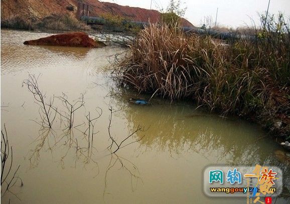 3月7日湘江作案未遂又发现新钓点,可惜作案工具不对