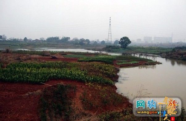 3月7日湘江作案未遂又发现新钓点,可惜作案工具不对