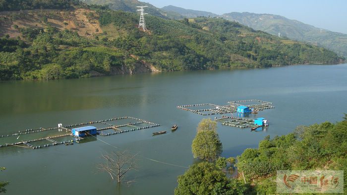 云南水环境，关注马堵山水库污染系列的报道