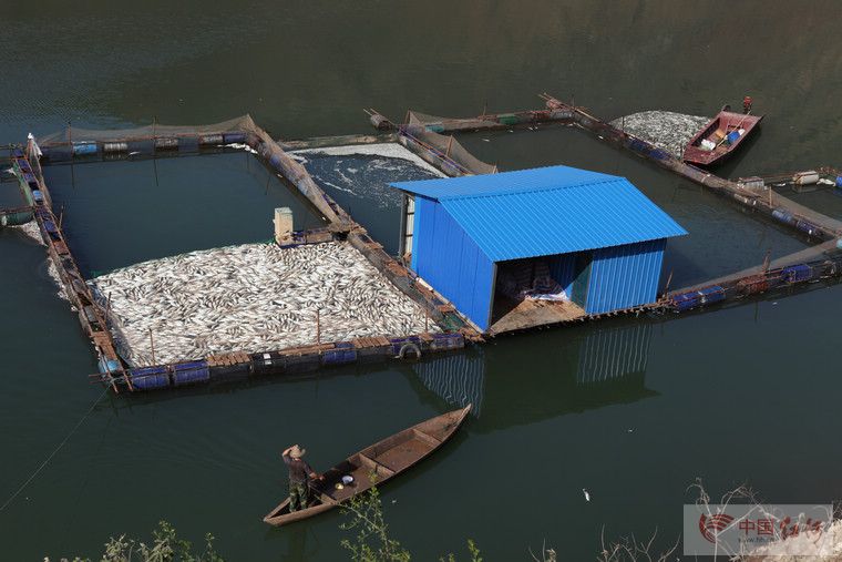 云南水环境，关注马堵山水库污染系列的报道