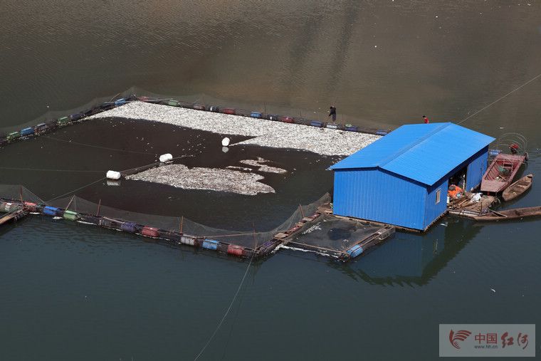 云南水环境，关注马堵山水库污染系列的报道