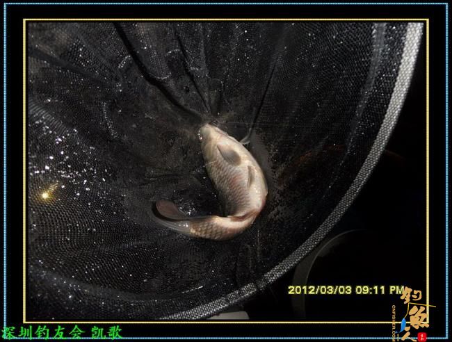 2012013 夜战鬼塘 老张解毒