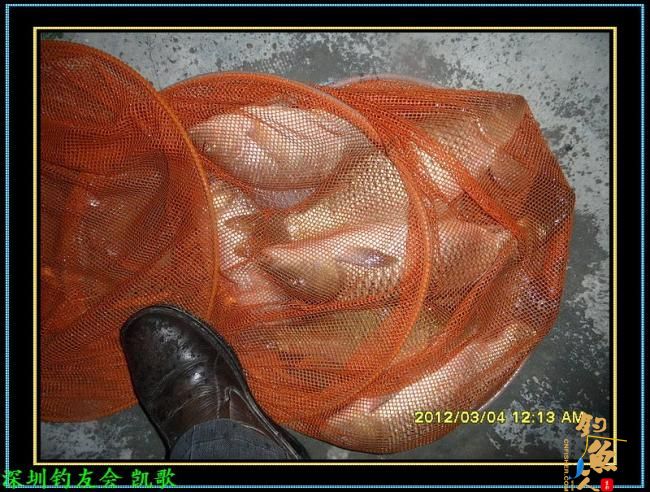 2012013 夜战鬼塘 老张解毒