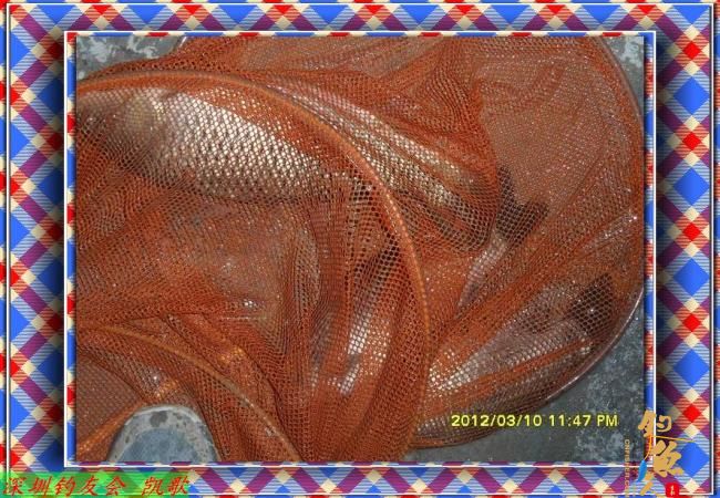 2012014 丸九打窝 鱼获不多 BY paeanism