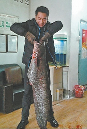 广东肇庆肖哥红雁池钓起钓23.46公斤大鱼