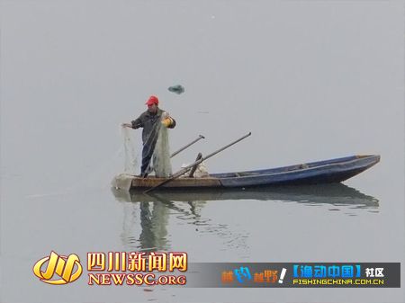 南充：禁渔期嘉陵江公然撒网捕鱼 图
