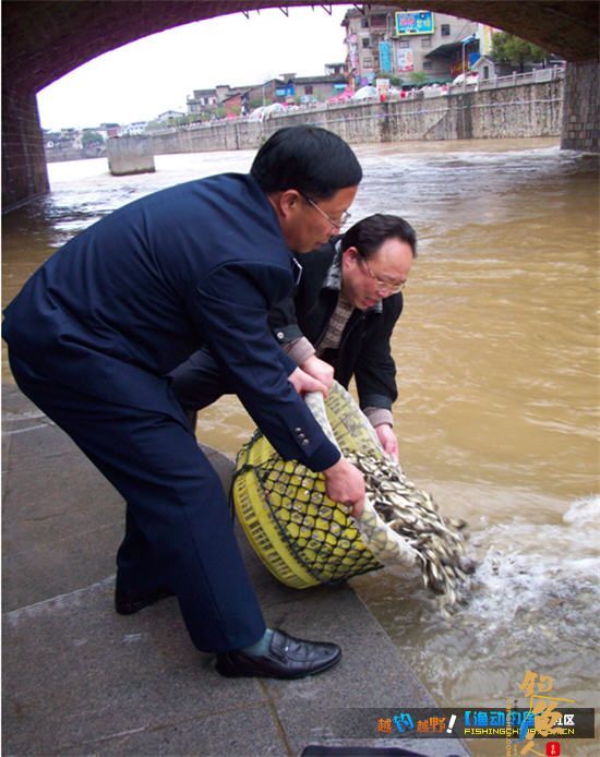 福建龙岩市长汀县拉开2012年汀江鱼类放流增殖活动序幕