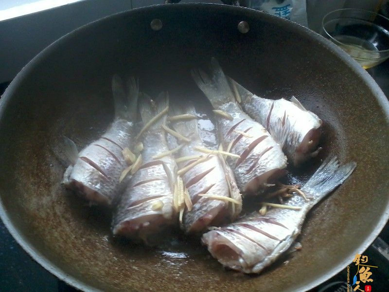 钓鱼系列之小丰收 作者：渔之梦