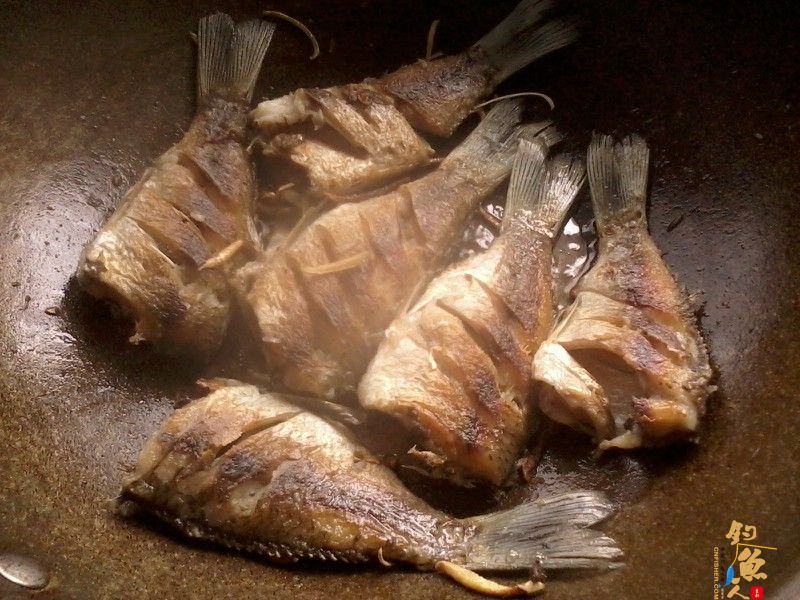 钓鱼系列之小丰收 作者：渔之梦