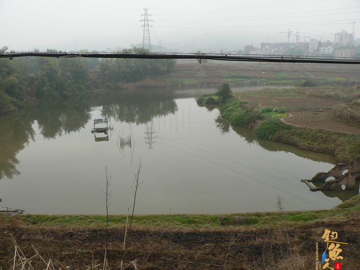 思良江钓记 作者:无敌钓鱼佬