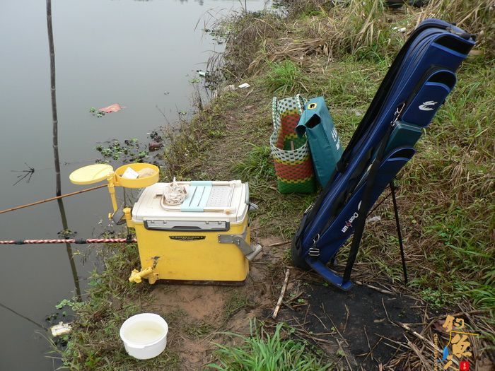 思良江钓记 作者:无敌钓鱼佬