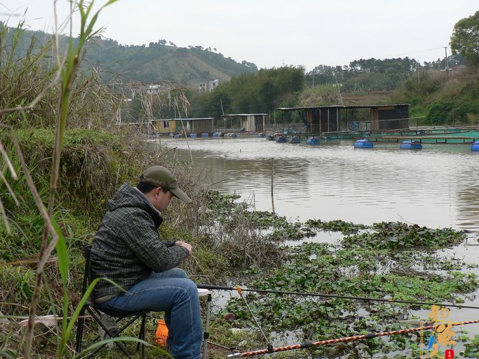 思良江钓记 作者:无敌钓鱼佬