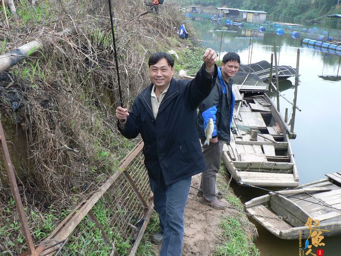 思良江钓记 作者:无敌钓鱼佬