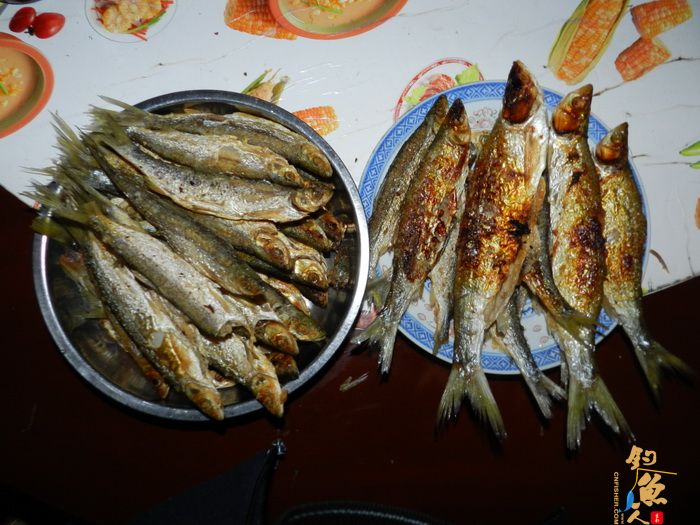 思良江钓记 作者:无敌钓鱼佬