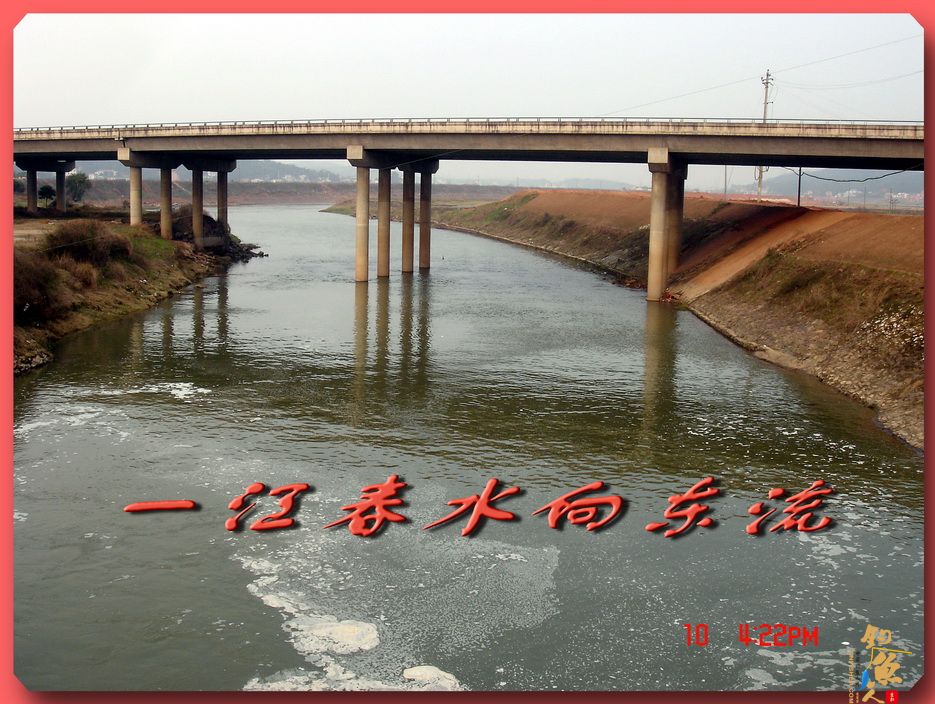 春江水暖白条知