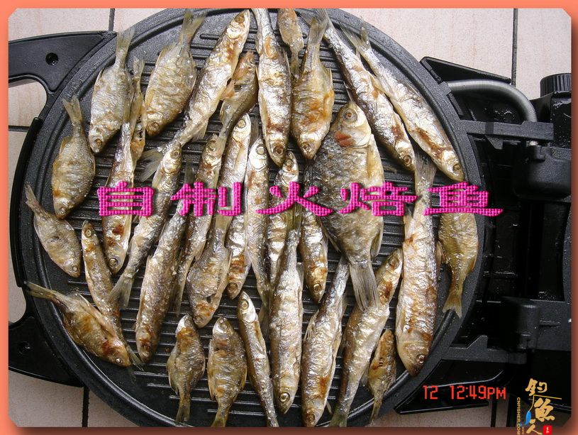 春江水暖白条知