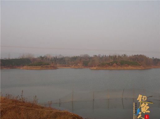 （原创）早春首战南湾鲫