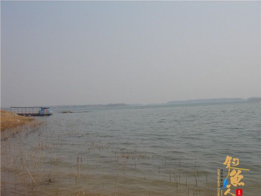 （原创）早春首战南湾鲫