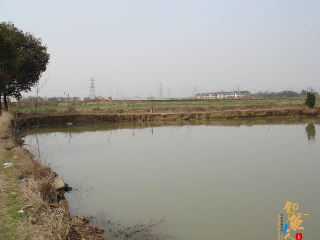 江南渔事——春钓篇：心情与久违的春阳一起升起