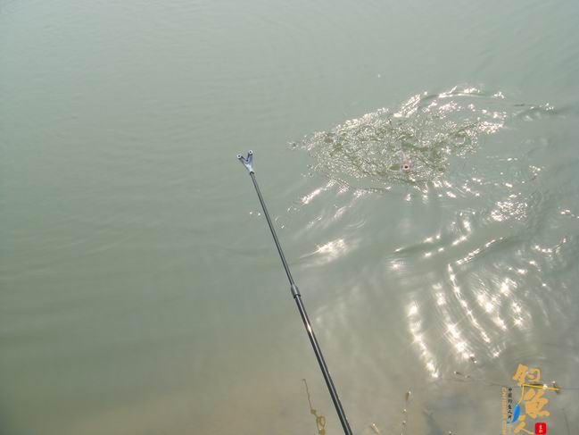 江南渔事——春钓篇:心情与久违的春阳一起升起