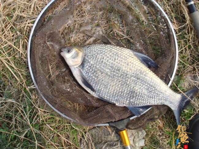 江南渔事——春钓篇：心情与久违的春阳一起升起