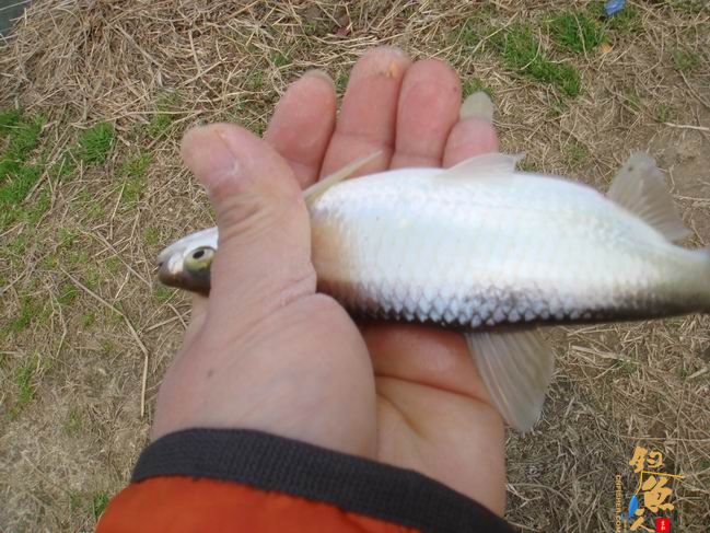 江南渔事——春钓篇:心情与久违的春阳一起升起