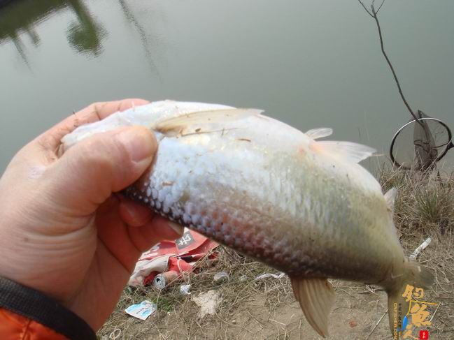 江南渔事——春钓篇:心情与久违的春阳一起升起