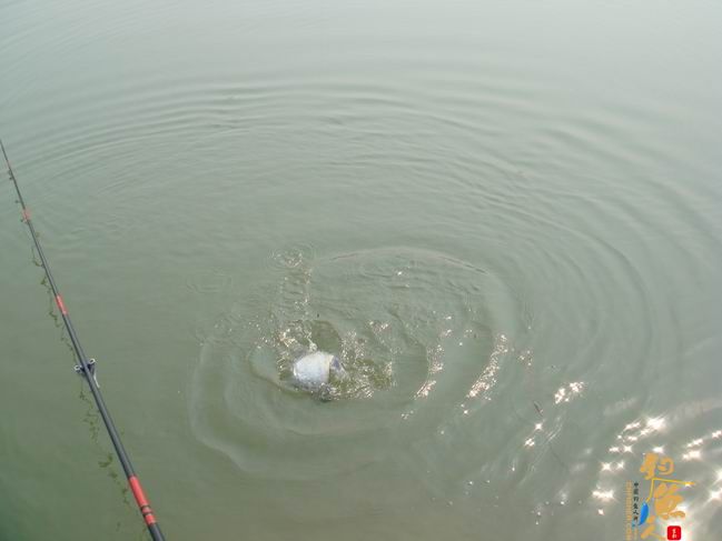 江南渔事——春钓篇:心情与久违的春阳一起升起