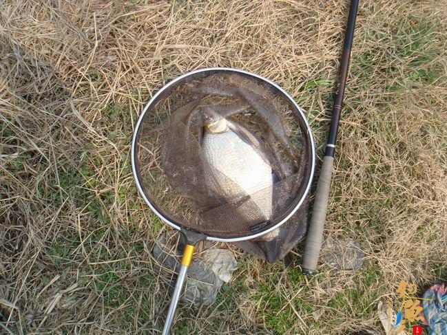 江南渔事——春钓篇:心情与久违的春阳一起升起