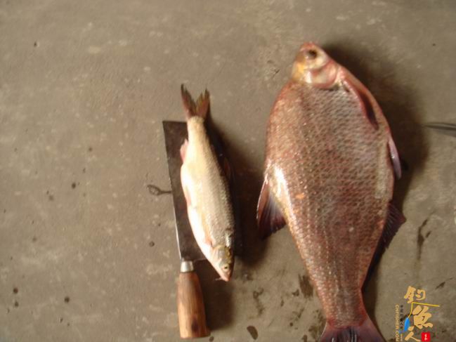 江南渔事——春钓篇:心情与久违的春阳一起升起