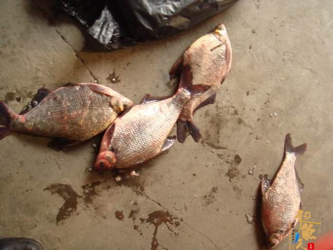 江南渔事——春钓篇：心情与久违的春阳一起升起