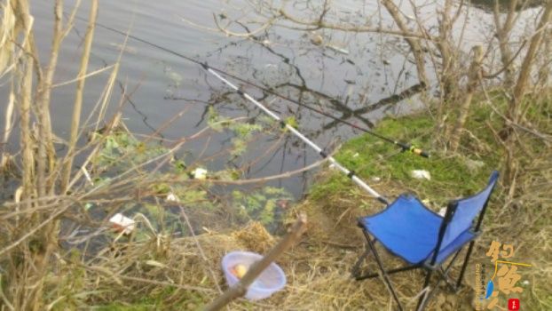 糨糊春帖----板鲫相助破空空 作者:waln