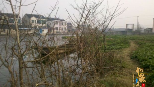 糨糊春帖----板鲫相助破空空 作者：waln