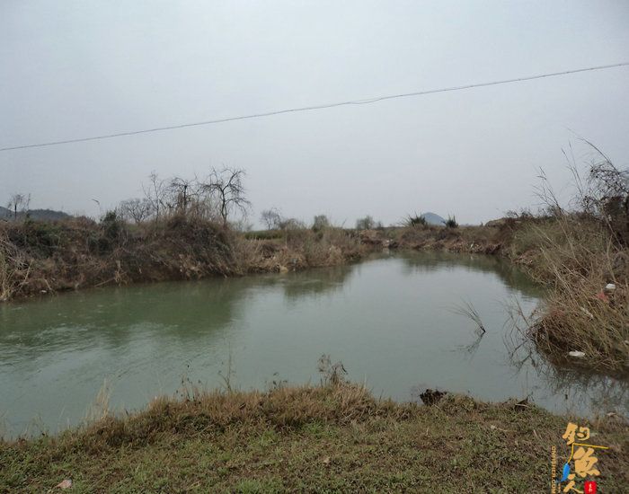 溪钓马口 作者:富江鱼