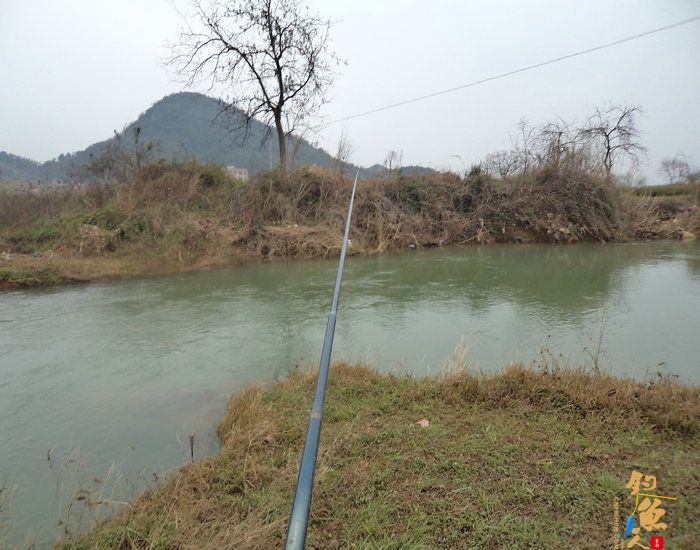 溪钓马口 作者:富江鱼