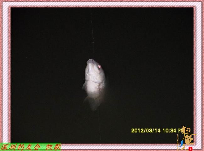 2012015 继续夜战鬼塘 差点飞机回家