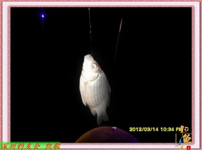 2012015 继续夜战鬼塘 差点飞机回家