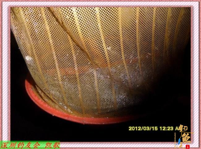 2012015 继续夜战鬼塘 差点飞机回家